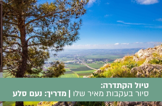 תמונת מופע: טיול הקתדרה חלוצים&comma; אהבות ואכזבות - סיור בעקבות מאיר שלו